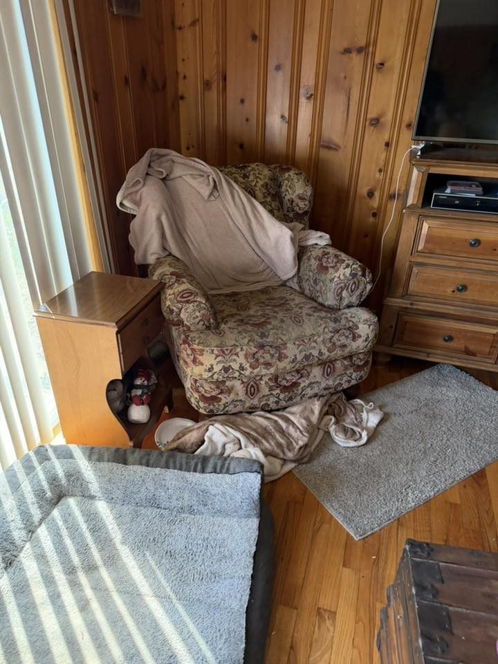 Armchair and furniture removal